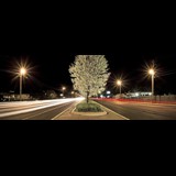 Route 9